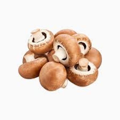 مشروم بني 